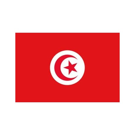 Pavillon Tunisie 30X45